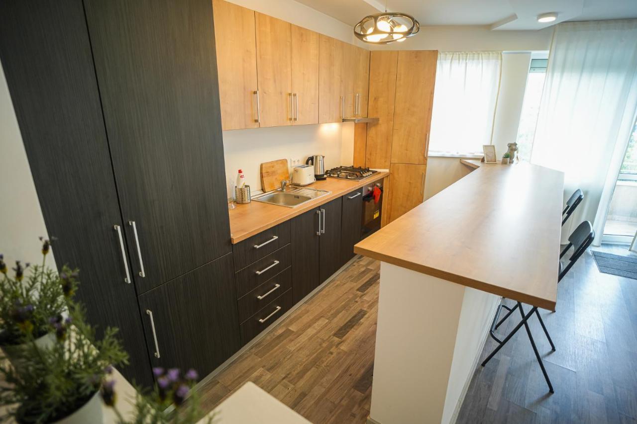 Penthouse With Huge Rooftop & Amazing City View Bukarest Eksteriør billede